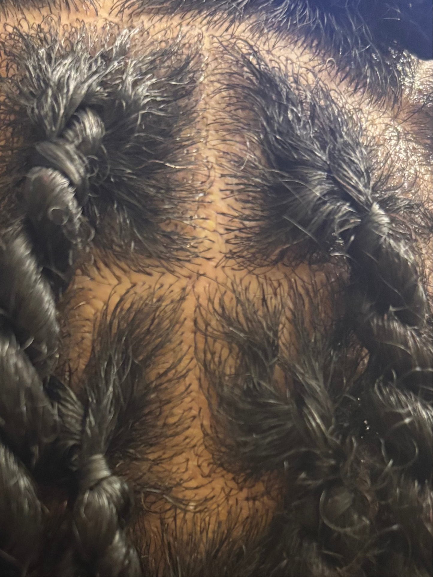 Mane fuel
